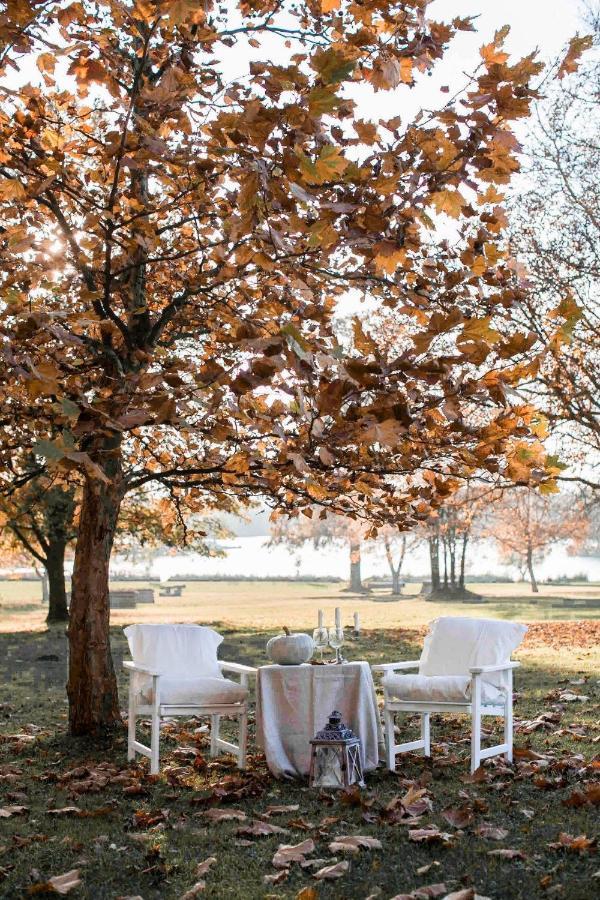 Отель Magnolia Надьканижа Экстерьер фото
